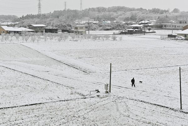 農地や住宅に雪が積もり、白くなった那須塩原市内＝４日午前８時、那須塩原市東小屋