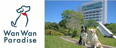 アイコニア・ホスピタリティ 愛犬と泊まれるホテル13棟を2月11日(水…