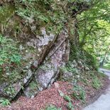 恐竜時代の地層　栃木県立博物館・河野重範さん　火山灰や砂れきで形成　化…