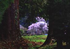 第19回下野新聞紙上写真コンテスト「選外佳作」