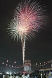 盆踊り楽しみ花火に歓声