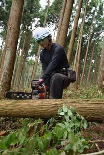 林業女子 現場で奮闘　 県内最年少の早乙女さん　１８歳、男性社会に新風