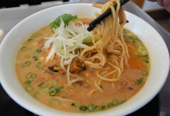 濃厚スープが麺に絡む辣肉白湯麺
