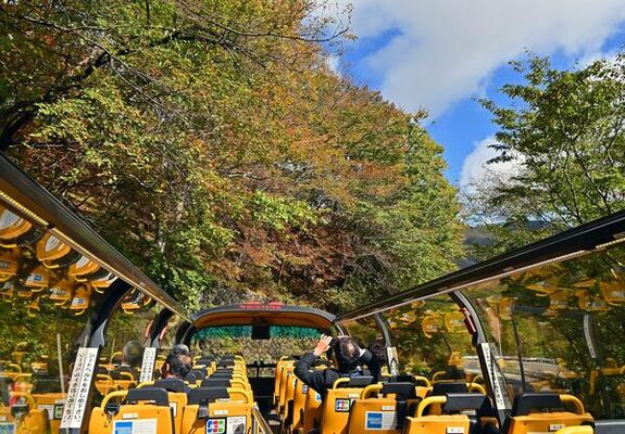 「紅葉オープンバスツアー2021」。木々が色づき始めたいろは坂を走るオープンバス＝10月14日、日光市中宮祠