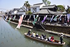 春の風物詩、500匹の鯉のぼり　栃木・巴波川で５月17日まで