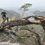 大規模火災の爪痕今も色濃く残る　足利の両崖山火災から21日で３年　目立…