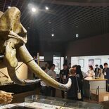 県の結婚支援事業　企業間交流、登録社も歓迎　敷居低く「周知しやすい」