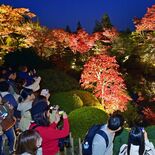 闇に浮かぶ錦の輝き　日光山輪王寺で庭園ライトアップ　次回は10～12日