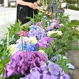 華やかに参拝客をお出迎え　鹿沼の今宮神社で「花手水」