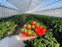 地域連携による新アクティビティ開始