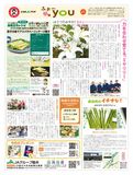 2024年６月18日（火）掲載面