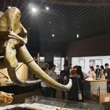 県の結婚支援事業　企業間交流、登録社も歓迎　敷居低く「周知しやすい」