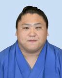 若隆景は2カ月の加療