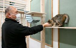 犬猫、マッチングサイトで「縁結び」