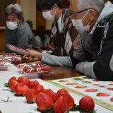 イチゴ出荷シーズン本格化へ　ＪＡなす南が目ぞろえ会　「味に申し分なし」