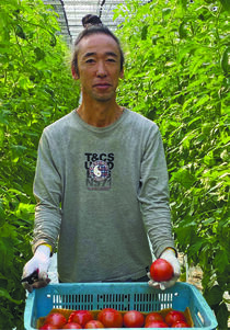 ＜172＞生でも調理しても美味　　　  ＪＡ足利のトマト