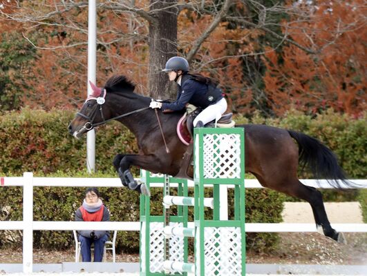 大会で障害馬術の競技に臨む鈴木さん