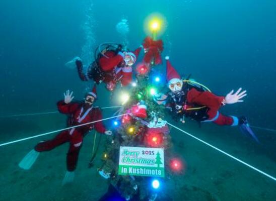 和歌山県串本町沖の海底に設置されたクリスマスツリー=11月(串本ダイビング事業組合提供)