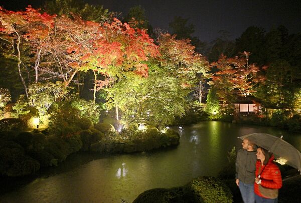 雨の中、幻想的に照らされる逍遥園の紅葉=18時45分、日光市山内、森田大地撮影