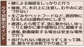 クマはパニック状態か