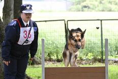 栃木県で警察犬など60頭が真剣勝負、最高賞には雄の「アイヴァン」が輝く…