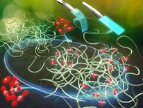 CO₂を吸収してプラスチックに変わるゴムを発明