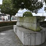 鹿沼で11月に「シウマイサミット」初開催 茨城・静岡の商議所も参加、ユ…