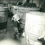 ３度の焼失経験、味守る　創業400年「青源味噌」発酵文化を未来へ　17…