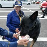 枕カバーの匂いを頼りに…行方不明の中学生を捜索　「ナンバー“ワン”の仕…