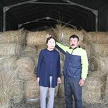 かんぴょう生産者増へ就農支援 壬生の農業法人「みずのえファーム」 分業…