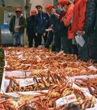 ズワイガニ今季初水揚げ