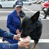 枕カバーの匂いを頼りに…行方不明の中学生を捜索　「ナンバー“ワン”の仕事」警察犬と指導士に宇都宮東署が感謝状