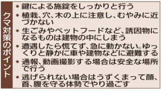 クマはパニック状態か