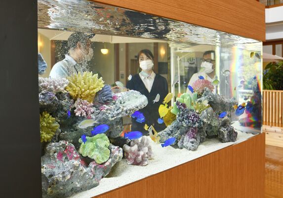 設置された水槽