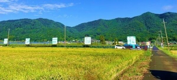 晃石山を背景に広がる栃木市の大平町ぶどう団地