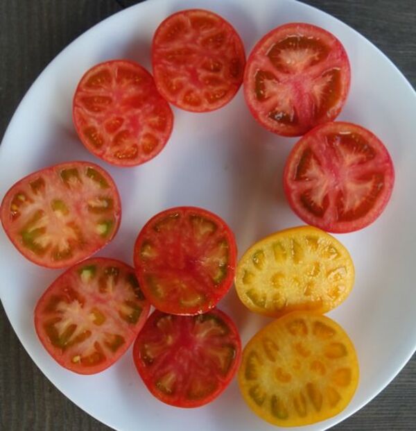 作中にはトマト料理も若干出てきます