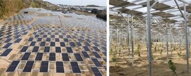 NOK、グループ初のオフサイトPPA導入