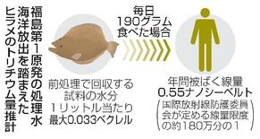 食物連鎖でのヒラメ蓄積ほぼなし