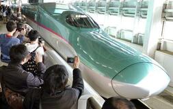 白鳥が「はやぶさ」止める