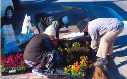 県道などで植栽 楽しく環境美化