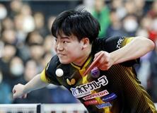 早田ひな、張本美和が４強入り