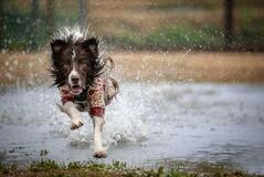 水を上手に利用しよう