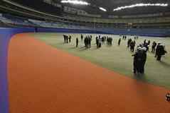 環境に優しい人工芝採用