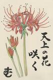 読者登壇