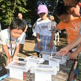 クワガタやカブトムシ プレゼント　下野のラジオ体操同好会　子どもたちに思い出を