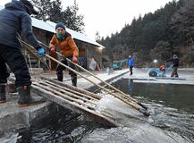 天然氷の切り出し始まる　日光