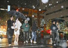 県内各地で降雪 白くかすむ正月