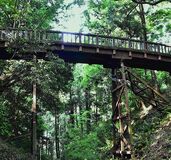 滝山城