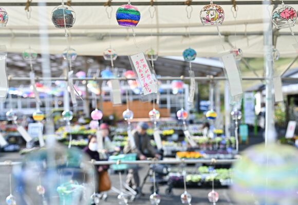 会場に展示された風鈴