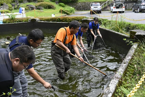 移送のため旧足尾中の池で行われたコイの捕獲作業